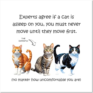 Experts agree if a cat is asleep on you, you must never move until they move first - funny watercolour cat design Posters and Art